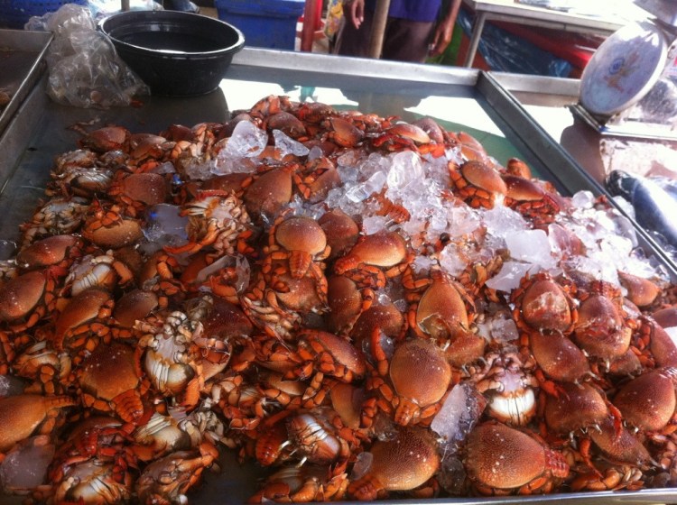 20130101-231959.jpg